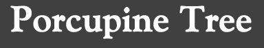 ptlogo.jpg (5746 bytes)